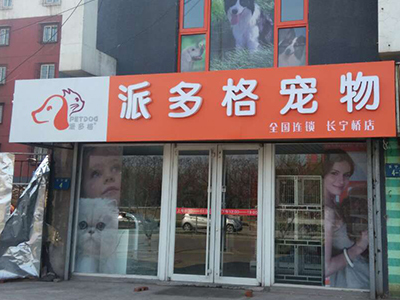 开宠物店 犬只寄养业务的预算规划
