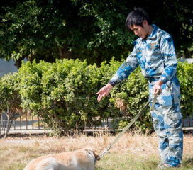 汕头猫咪宠物店 专业犬只销售，伴您开启温馨宠物生活