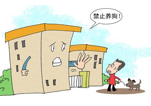 成都警方回应限养区禁养中华田园犬 明年或将重新划定品种，寄养问题受关注